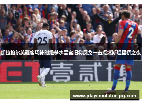 加拉格尔英超客场补时绝杀水晶宫旧将反戈一击点燃斯坦福桥之夜 加拉格尔英超客场补时绝杀水晶宫旧将反戈一击点燃斯坦福桥之夜